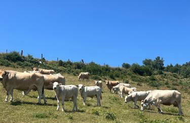 La Pastourelle en Lozère - Foto 43