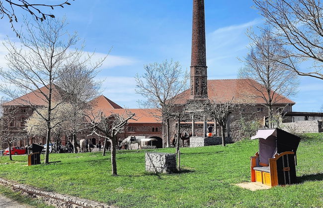 TinyHousebeiDresden unser größtes winziges Häuschen für bis zu 7 Personen, Kaminofen, große Terrasse - Nähe Sächsische Schweiz - Foto 21