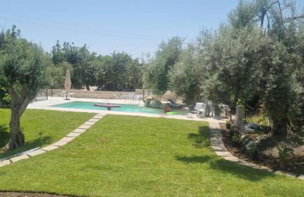 Casaimamà Viola - Foto 5