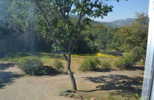 The Quail's Nest - Foto 16