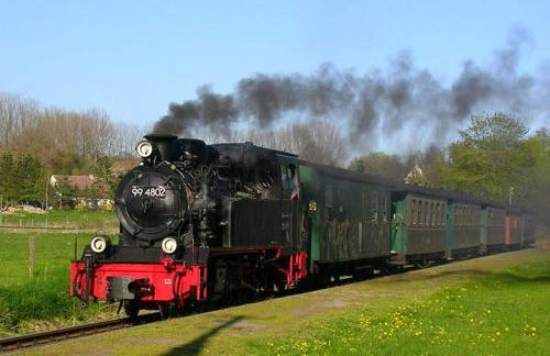 Reethaus im Biosphärenreservat - Foto 20