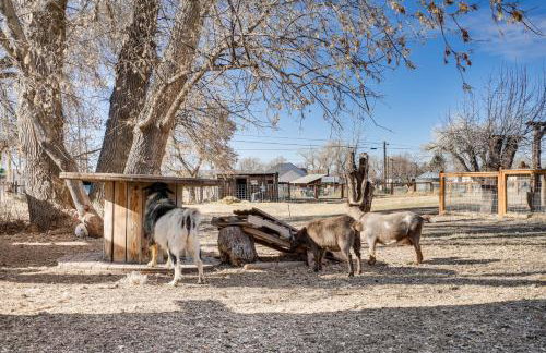 Cozy Parowan Studio 12 Mi to Brian Head Resort! - Foto 21