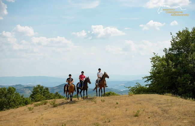 Faro Rosso - Photo 24