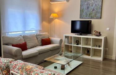 TIGER wifi y garaje - Foto 1