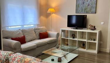 TIGER wifi y garaje - Foto 1