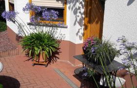 Ferienwohnung Schlossblick - Foto 2