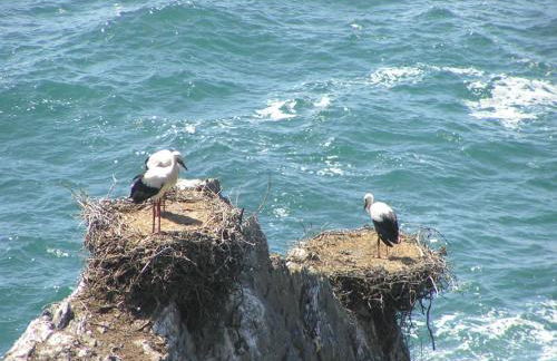 SUNNY HOUSE by Stay in Alentejo - Foto 40