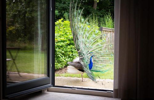 Idyllisches Landhaus, Garten & Kamin, für Paare - Foto 14