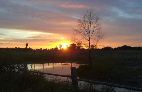 Pensjonat Przy Stajni - Foto 61