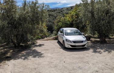 EncinaGorda - Foto 44