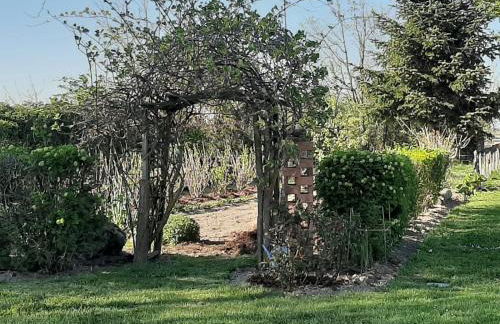 Gîte à la ferme - Foto 18