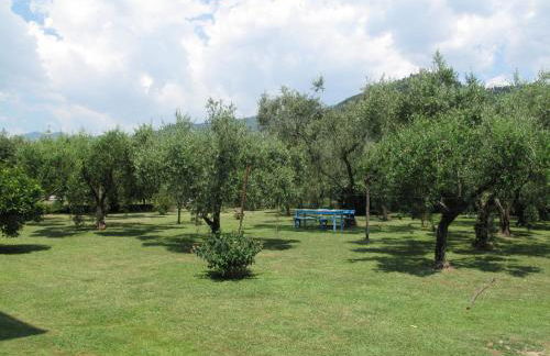 Apartment Wilma by Interhome - Foto 6