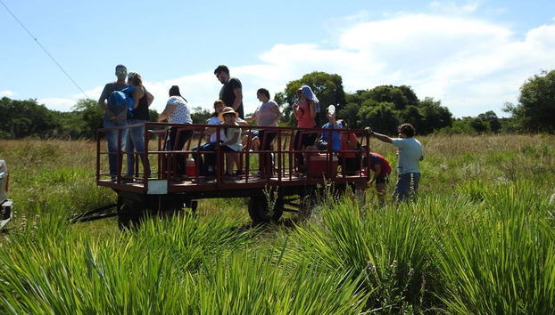 Visitando la estancia en un camión safari