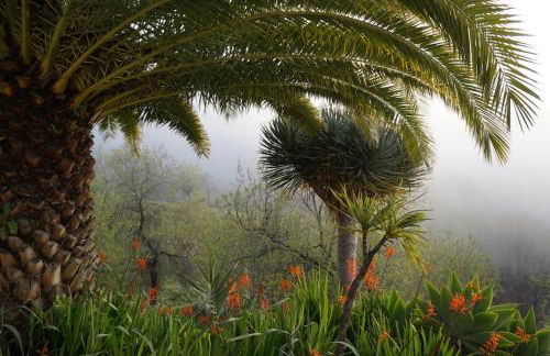 Casa Rural El Refugio - Foto 6