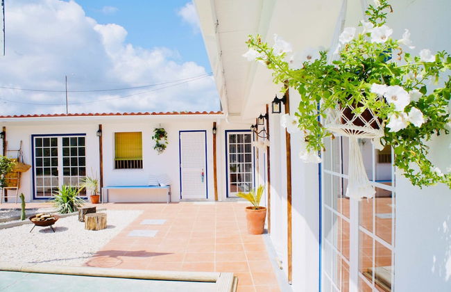 João Jungle - Foto 12