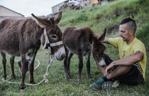 Farm stay Synergia - Hiden treasure - Photo 19