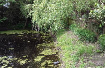 GA Grudzianka - Foto 64