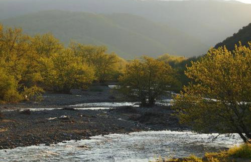 Livadaki Village - Δασικό Χωριό Λιβαδάκι - Foto 73