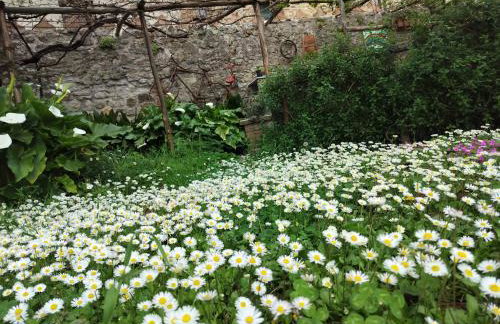 House with stunning views - Foto 12