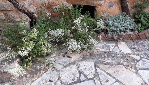 Sarris House - Foto 5