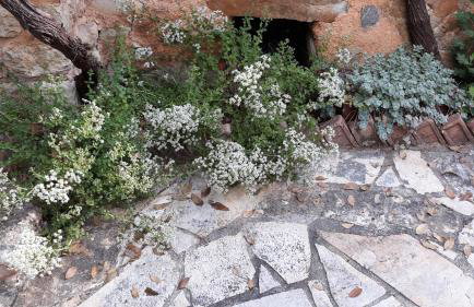 Sarris House - Foto 5