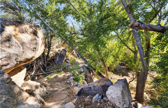 Rock House Haven Retreat - Photo 29