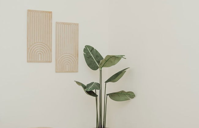 Blvd Sunset... a spot to relax - Foto 15