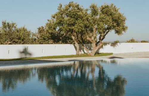 Masseria Borgo Ritella - Photo 8