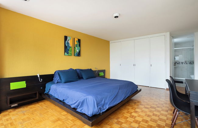 Socrates 378 - Foto 25