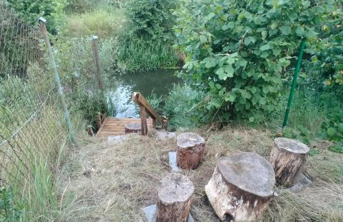 Leśna Chata kuracyjna nad rzeką z sauną w Borach Tucholskich - Foto 5