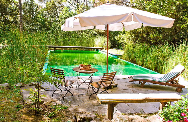 1 bedroom Apartment in Scandicci with swimming pool and garden - Photo 2