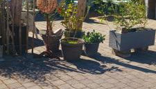 Le Studio 1044 - Foto 4