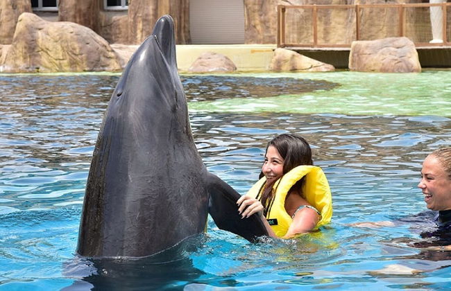 Babylon 66 An Outstanding Holiday Home Ticks Every box - Foto 14