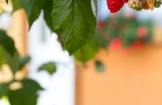 Gîtes de Charme Chez Christine - Photo 2