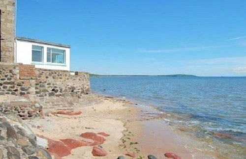 Fionn - Lower Largo - Foto 5