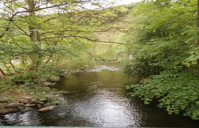 Nature Apartment With Sauna - Foto 28