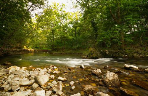 Apartman Sara - Foto 13