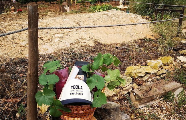 Casa Rural El Llano Quintanilla - Photo 36