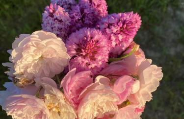 Casa da Mata - Foto 38