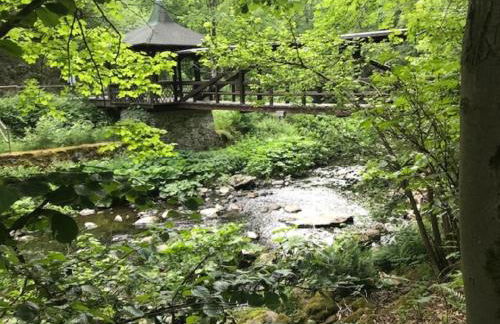 Schöne Ferienwohnung in Schauenstein-Hof im Frankenwald mit Loggia 100qm - Foto 30