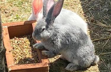 Domek na Uboczu - Foto 38