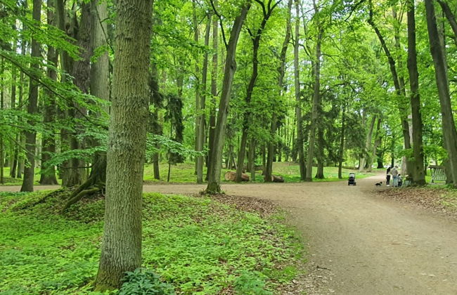 Praskolesy - Foto 27