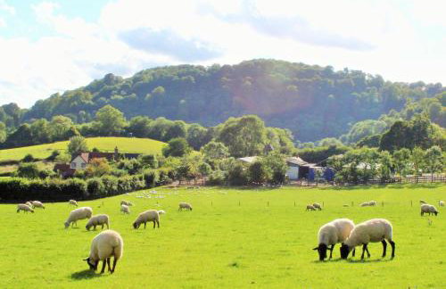 The Turkey House - Foto 19