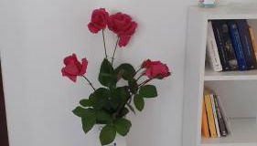 Fiori e farfalle apartment - Foto 3