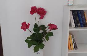 Fiori e farfalle apartment - Foto 3