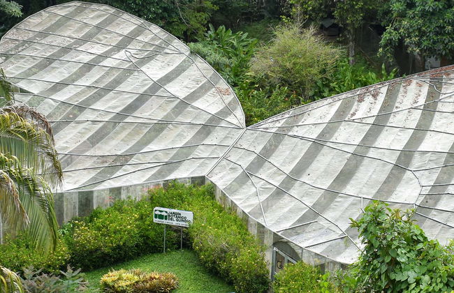 Quindío Botanical Garden Tour - Photo 1