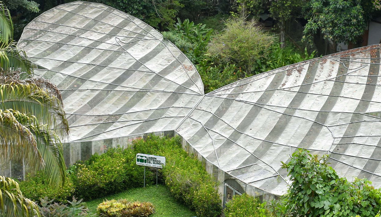 Tour por el Jardín Botánico del Quindío