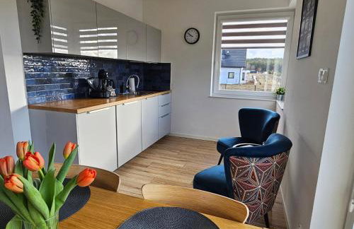 Dom na Kaszubach "White House" całoroczny na wyłączność - Photo 3