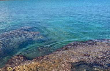 Una Biancasa - Foto 63