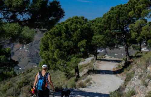 Finca el Almendro Archez - Foto 49